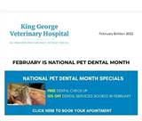 King George Veterinary Hospital February 2022 Newsletter